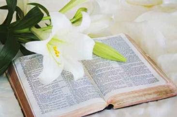 Image Image